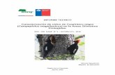 Caracterización de nidos de Carpintero negro Campephilus ...