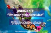 UNIDAD N°1: “Evolución y biodiversidad”
