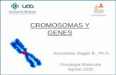 CROMOSOMAS Y GENES - rlillo.educsalud.cl