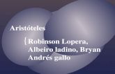 { Aristóteles Robinson Lopera, Albeiro ladino, Bryan Andrés gallo.