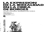 La expresión de la irrealidad en la obra de Borges - Ana María Berrenechea