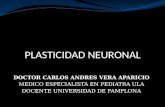 Clase de plasticidad neuronal dr carlos vera