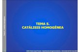 Tema 5 â€“Catlisis Homog©nea .Se producen en una nica fase gaseosa o l­quida Reacciones catal­ticas