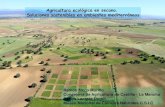Agricultura ecológica en secano. Soluciones traditional-crops.com/upload/file/ramon-meco-agricultura-ecologica... ·