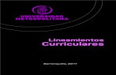 Lineamientos Curriculares - .planteado los Lineamientos Curriculares como institución ... vigente