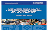 LINEAMIENTOS CURRICULARES Y .lineamientos curriculares y metodolÓgicos de educaciÓn inclusiva del