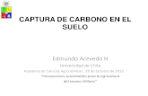 CAPTURA DE CARBONO EN EL SUELO - .•Salinidad (Riego) •Sodicidad (Riego) •Pérdidas de C del