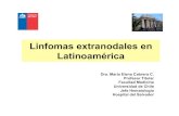 Linfomas extranodales en Latinoamأ© Linfomas extranodales en Latinoamأ©rica Dra. Marأ­a Elena Cabrera