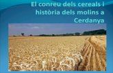 Conreu de Cereals i història dels molins a Cerdanya