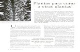 Agricultura ecologica -_plantas_para_curar_otras_plantas