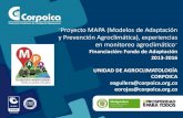 Proyecto MAPA- CORPO ICA