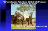 Tesis Caracterizacion Fenotipica Del Caballo Peruano de Paso